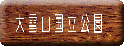 ���R��������