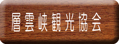 �w�_���ό�����