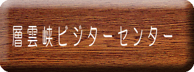 �r�W�^�[�Z���^�[